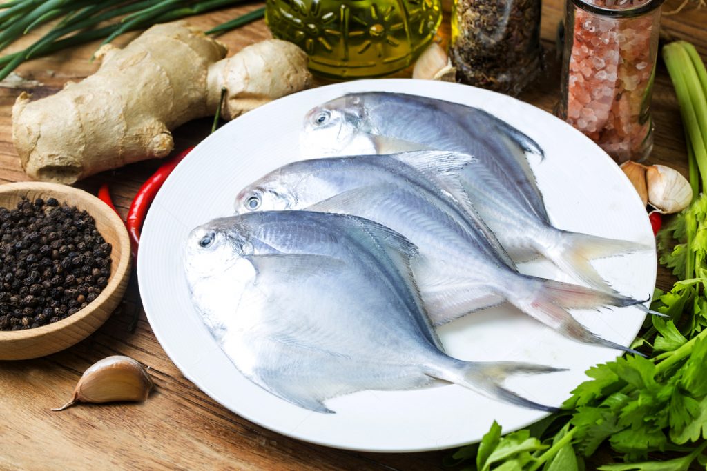 SILVER POMFRET/VELLA AVOLI/HAWA FISH (100g 300g) Fresh Kerala Store